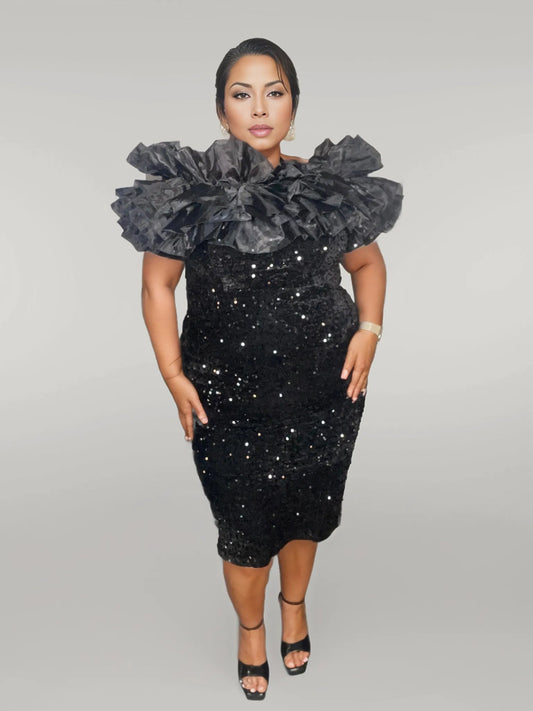 SEQUIN CURVY GIRL DRESS TULLE TOP